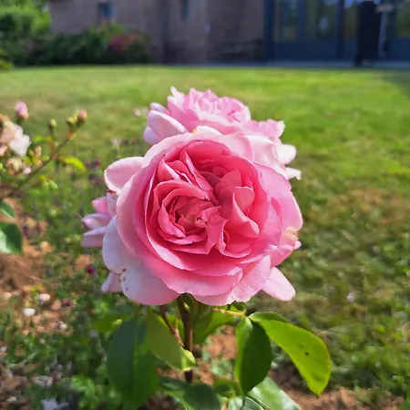 La Charmeraie 住宿加早餐酒店 Arrest