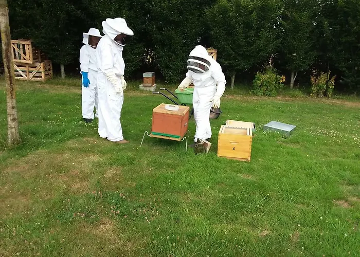 住宿加早餐酒店 La Charmeraie