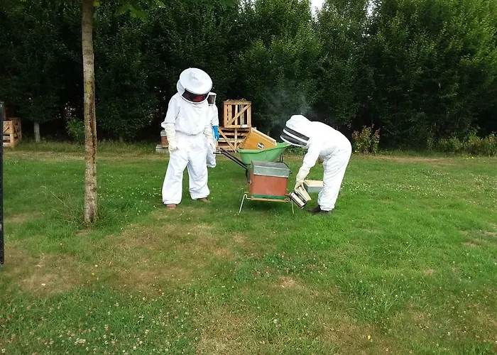 住宿加早餐酒店 La Charmeraie 3*